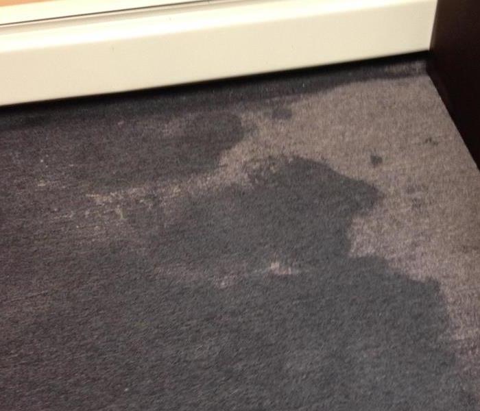 Water Damaged Carpet