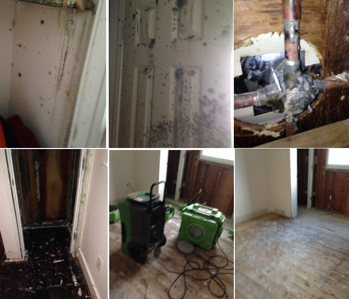 Mold Remediation In Unattended Home