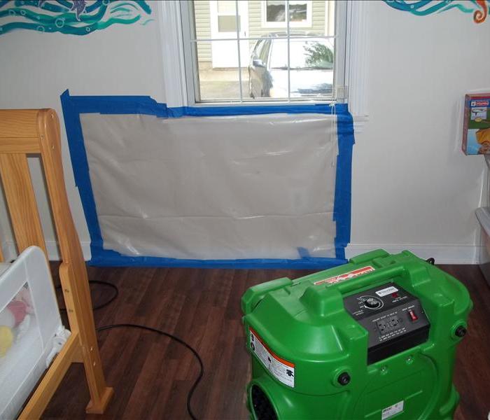 Mold Remediation