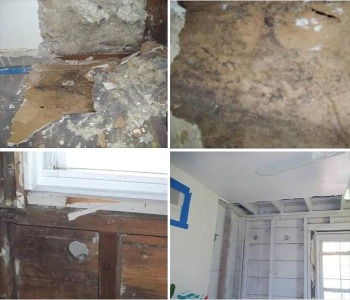 Mold Remediation